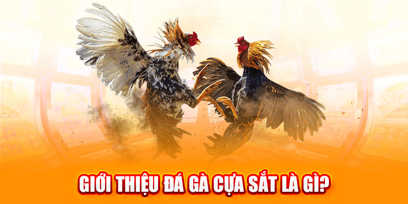 Tổng quan về loại hình đá gà cựa sắt 