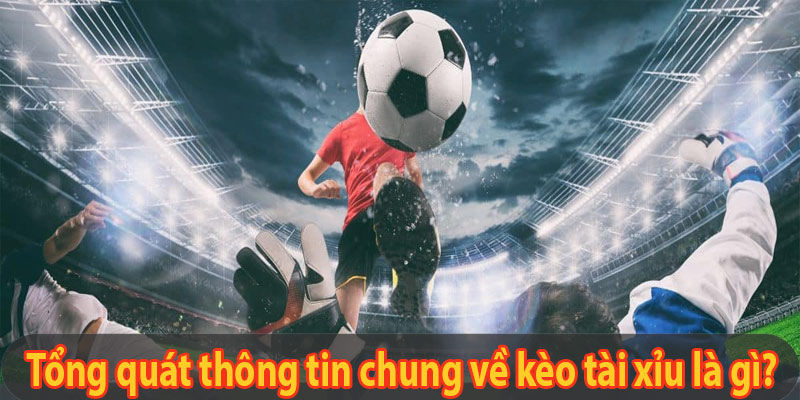 Tổng quát thông tin chung về kèo tài xỉu là gì?